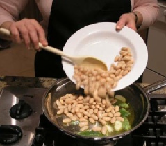 beans sage xx03
